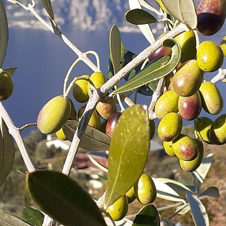 Appartamento Leccino Malcesine Ngoại thất bức ảnh