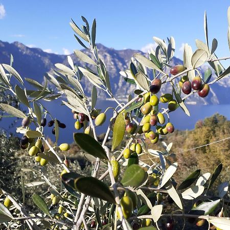 Appartamento Leccino Malcesine Ngoại thất bức ảnh