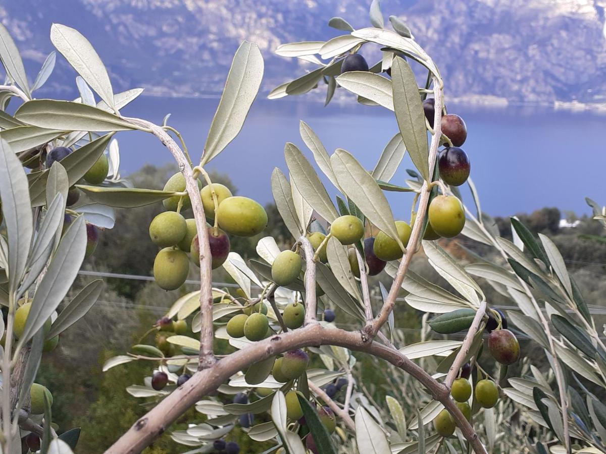 Appartamento Leccino Malcesine Ngoại thất bức ảnh