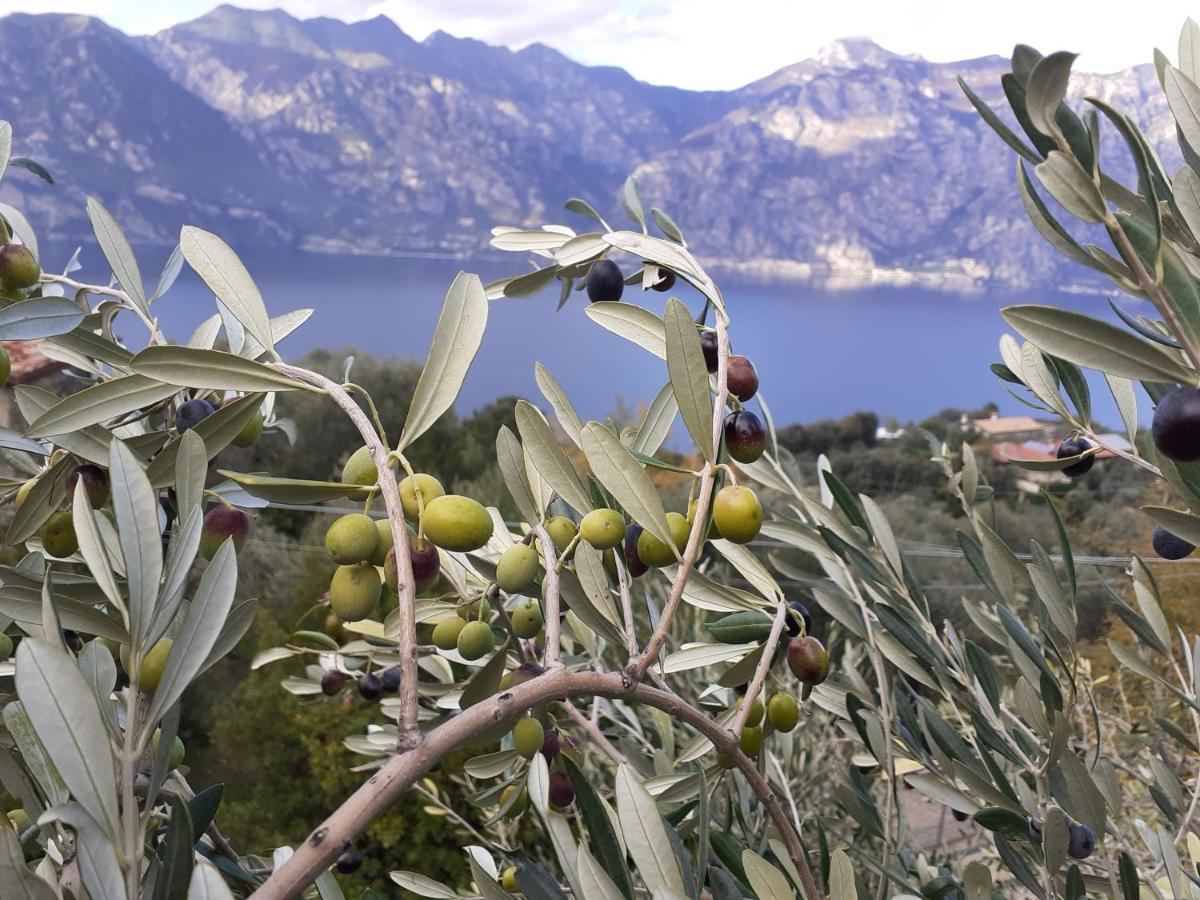 Appartamento Leccino Malcesine Ngoại thất bức ảnh